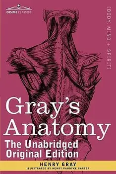 Gray's Anatomy: Descriptive and Surgical, Hardcover/Henry Gray