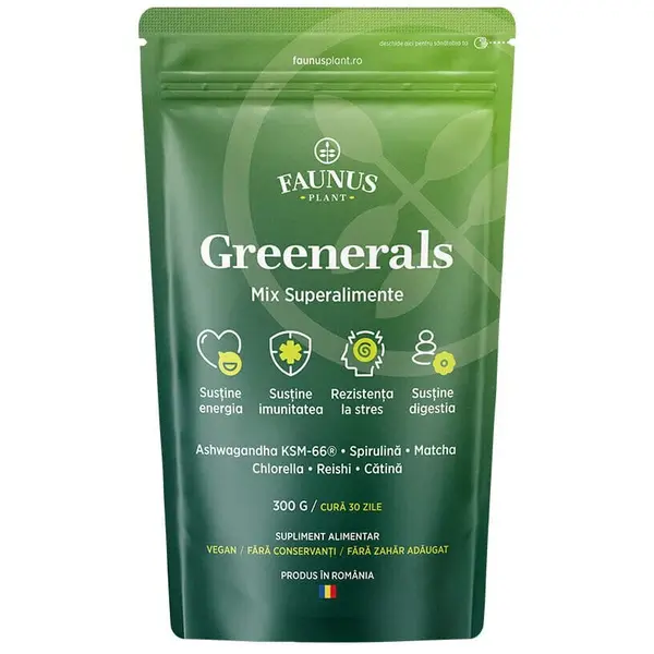 Greenerals Pudra Superaliment pentru Energie si Vitalitate 300g