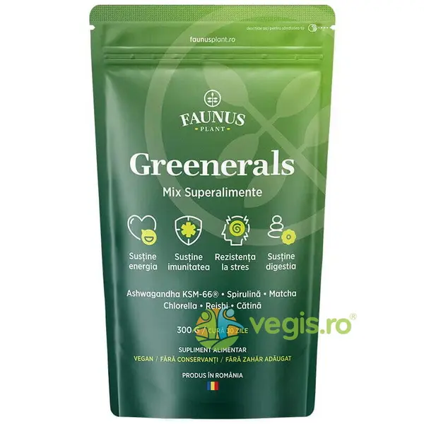 Greenerals Pudra Superaliment pentru Energie si Vitalitate 300g