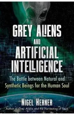 Grey Aliens and Artificial Intelligence: The Battle Between Natural and Synthetic Beings for the Human Soul - Nigel Kerner