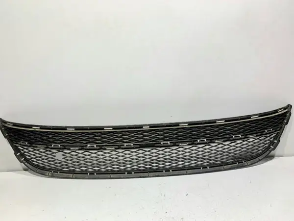 Grila centrala radiator 5N0853677 Volkswagen Tiguan (2007-2011)