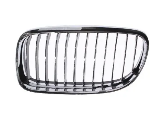 Grila radiator BLIC 6502-07-0062991PP