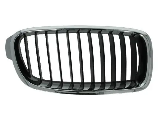 Grila radiator BLIC 6502-07-0063992P
