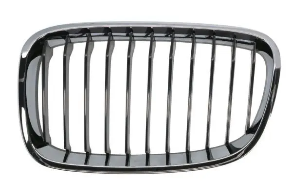 Grila radiator BLIC 6502-07-0086991P