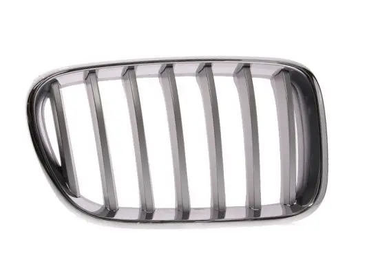 Grila radiator BLIC 6502-07-0093998P
