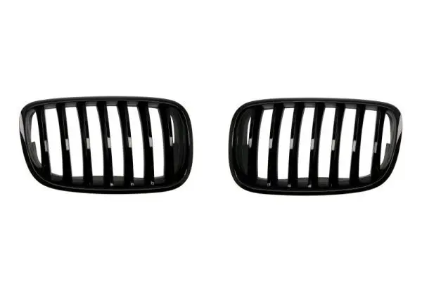 Grila radiator BLIC 6502-07-0096990P