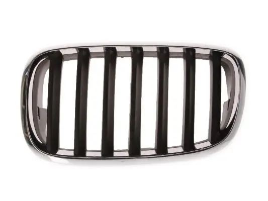 Grila radiator BLIC 6502-07-0096991P