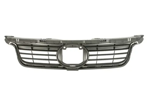 Grila radiator potrivit LEXUS CT ZWA10 12.10-11.13
