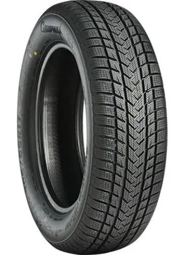 GRIPMAX SUREGRIP eWINTER 205/60R17 97V