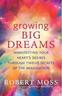 Growing Big Dreams: Manifesting Your Heart's Desires Through Twelve Secrets of the Imagination - Robert Moss