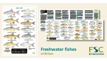 Guide to British Freshwater Fishes/Paul Croft