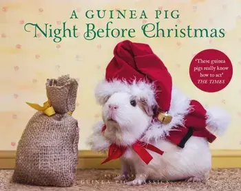 Guinea Pig Night Before Christmas, Hardback/Tess Newall