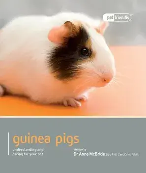 Guinea Pig: Understanding and Caring for Your Pet, Paperback/Anne McBride