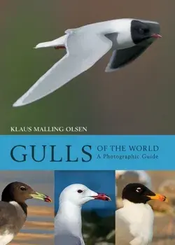 Gulls of the World. A Photographic Guide, Hardback/Klaus Malling Olsen