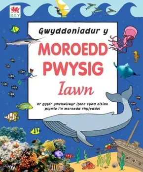 Gwyddoniadur y Moroedd Pwysig Iawn, Hardback/DK
