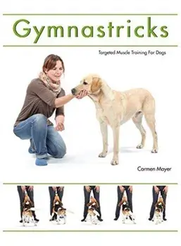 Gymnastricks, Paperback/Carmen Meyer