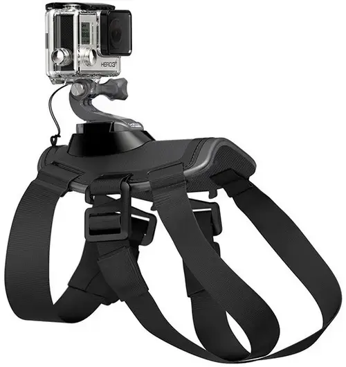 Ham pentru caini GoPro Fetch ADOGM-001