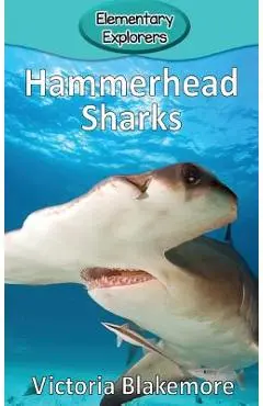Hammerhead Sharks - Victoria Blakemore