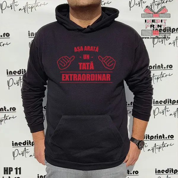 Hanorac Asa arata un tata extraordinar HP11 M, Gri