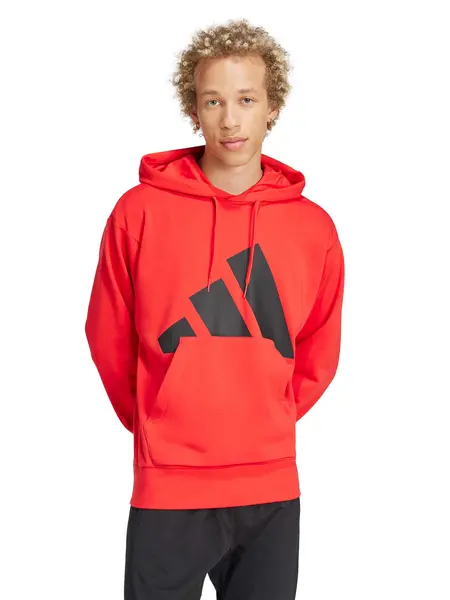 Hanorac Essentials Big Logo French Terry