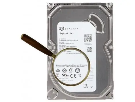 Hard disk 1TB - Seagate Surveillance SKYHAWK ST1000VX