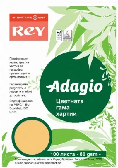 Hartie colorata pentru copiator Rey Adagio - Beige, A4, 80 g, 100 coli