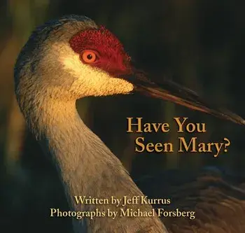 Have You Seen Mary', Paperback/Jeff Kurrus