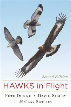 Hawks in Flight, Hardcover/David Sibley