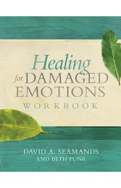Healing for Damaged Emotions Workbook - David A. Seamands