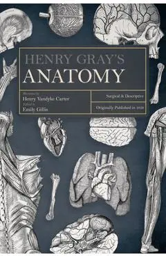 Henry Gray's Anatomy: Descriptive and Surgical - Henry Gray