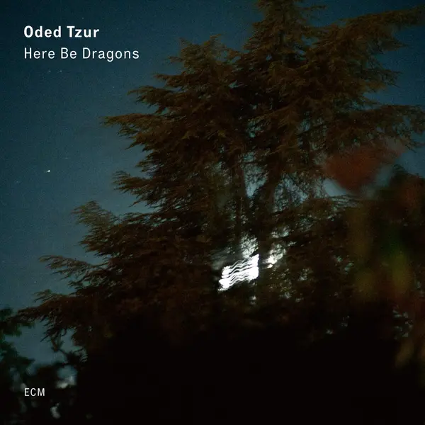Here Be Dragons | Oded Tzur