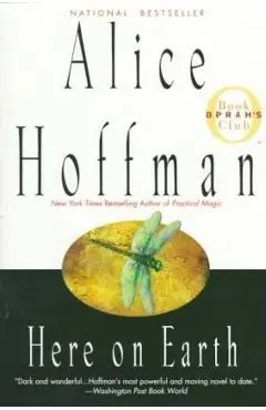 Here on Earth - Alice Hoffman