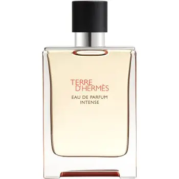 HERMÈS Terre d’Hermès Eau de Parfum Intense apă parfumată intense pentru bărbați