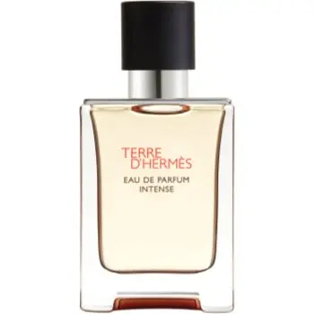 HERMÈS Terre d’Hermès Eau de Parfum Intense apă parfumată intense pentru bărbați