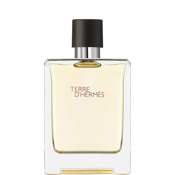 Hermes Terre d'Hermès Eau de Toilette - 100ml