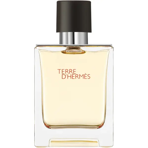 HERMÈS Terre d’Hermès Eau de Toilette pentru bărbați 50 ml