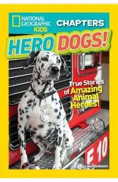 Hero Dogs!: True Stories of Amazing Animal Heroes! - Mary Quattlebaum