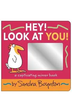 Hey! Look at You!: A Captivating Mirror Book - Sandra Boynton