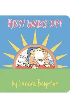 Hey! Wake Up! - Sandra Boynton