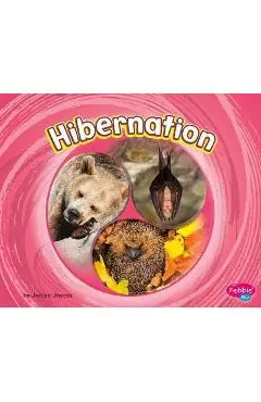 Hibernation - Jaclyn Jaycox
