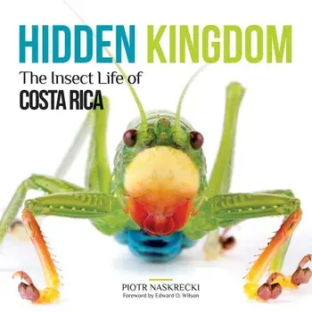 Hidden Kingdom: The Insect Life of Costa Rica, Paperback/Piotr Naskrecki
