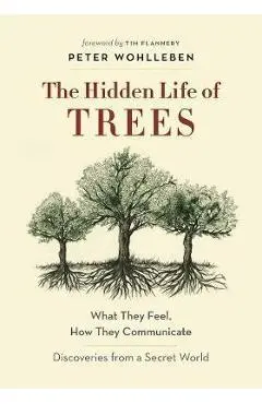 Hidden Life of Trees