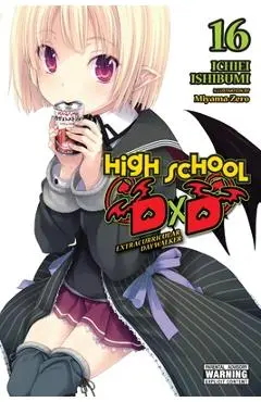High School DXD, Vol. 16 (Light Novel) - Ichiei Ishibumi