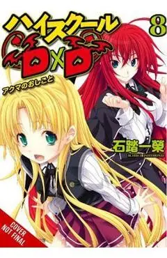 High School DXD, Vol. 8 (Light Novel): A Demon's Work - Ichiei Ishibumi