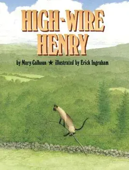 High-Wire Henry, Hardcover/Mary Calhoun