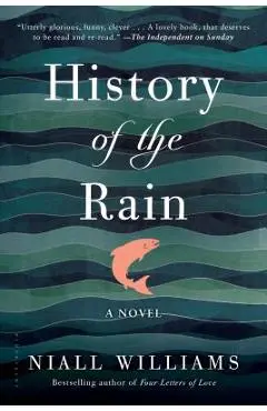 History of the Rain - Niall Williams
