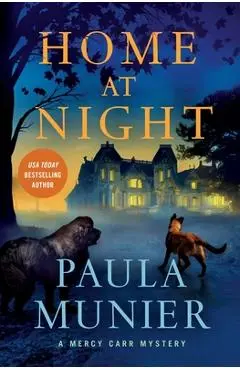 Home at Night - Paula Munier