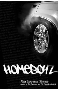 Homeboyz - Alan Lawrence Sitomer