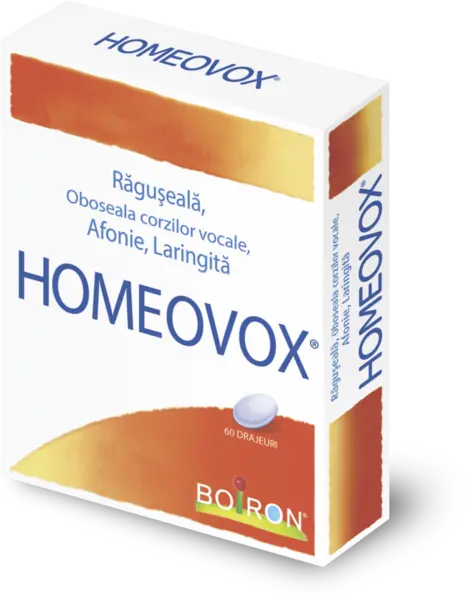 HOMEOVOX X 60