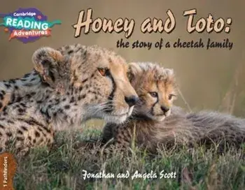 Honey and Toto: The Story of a Cheetah Family 1 Pathfinders, Paperback/Jonathan And Angela Scott
